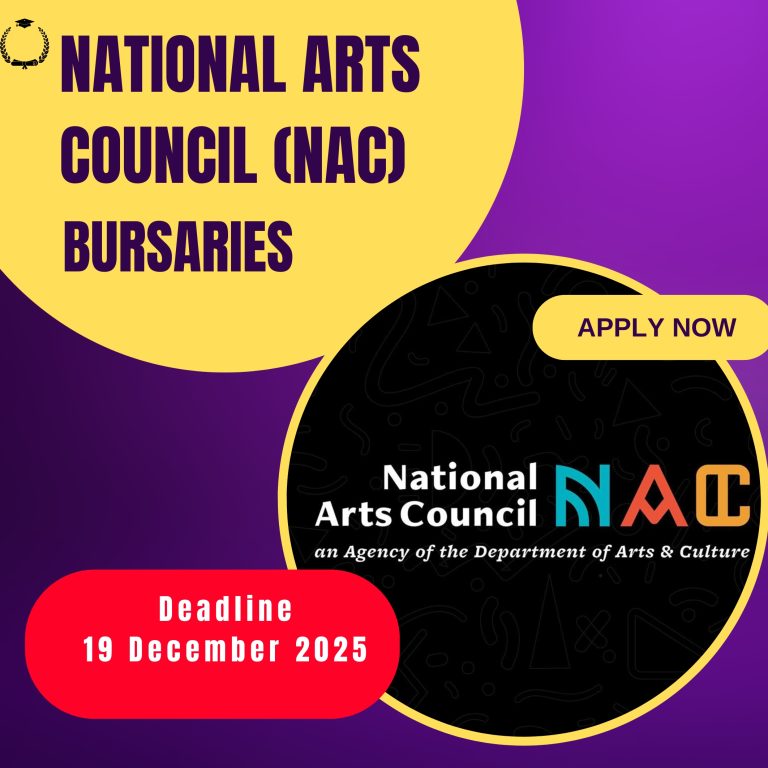 National Arts Council (NAC) Bursary — Full Guide
